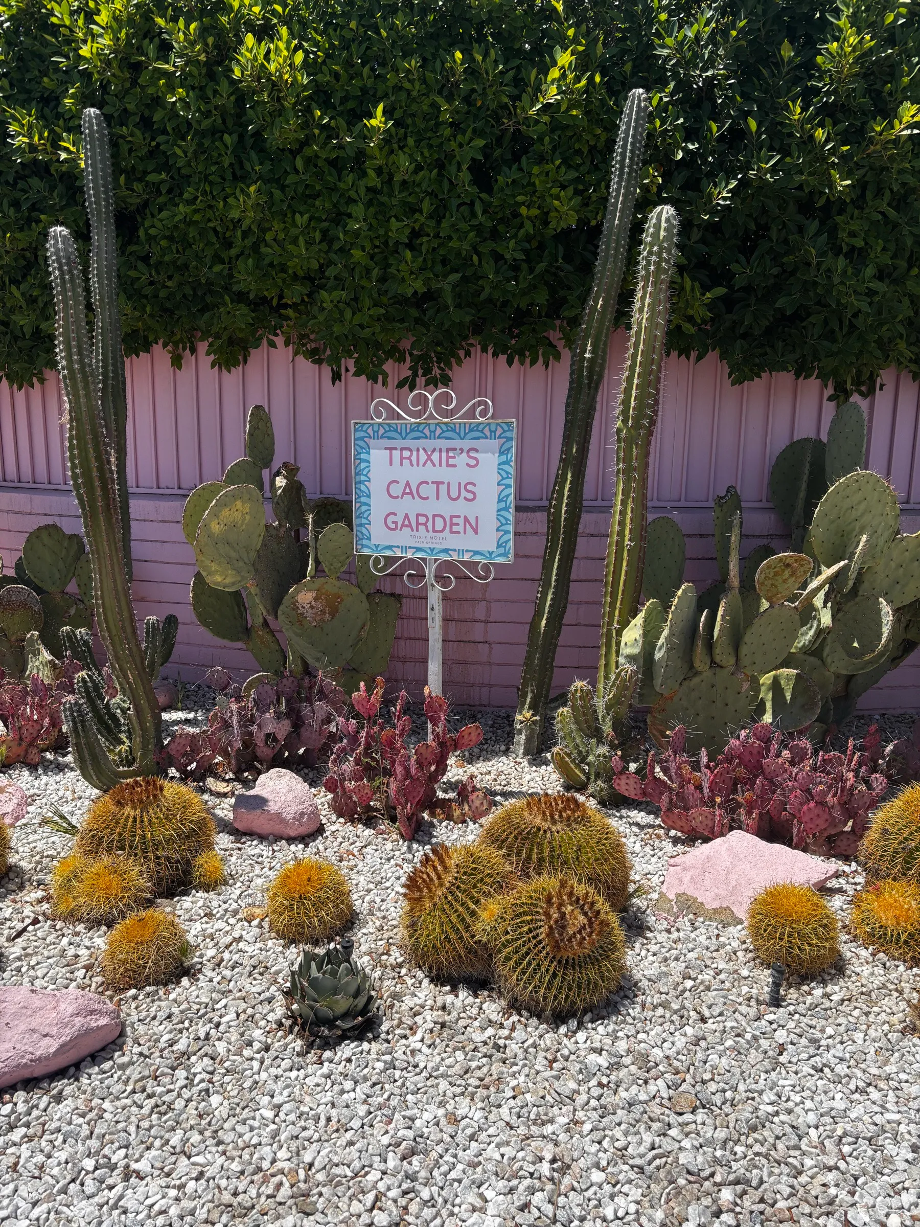 Cactus garden with a sign reading Trixie's Cactus Garden
