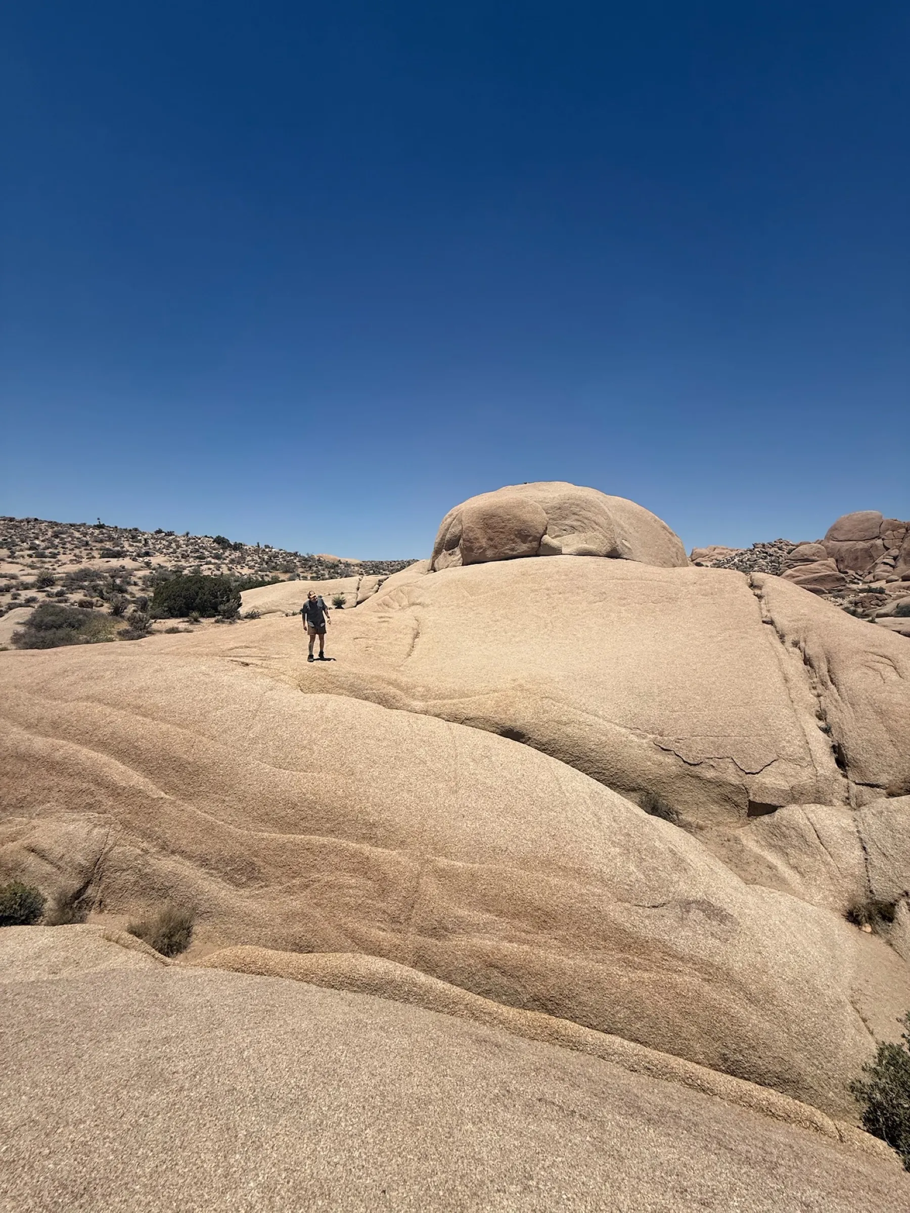 Standing alone on a huge expanse of granite boulders