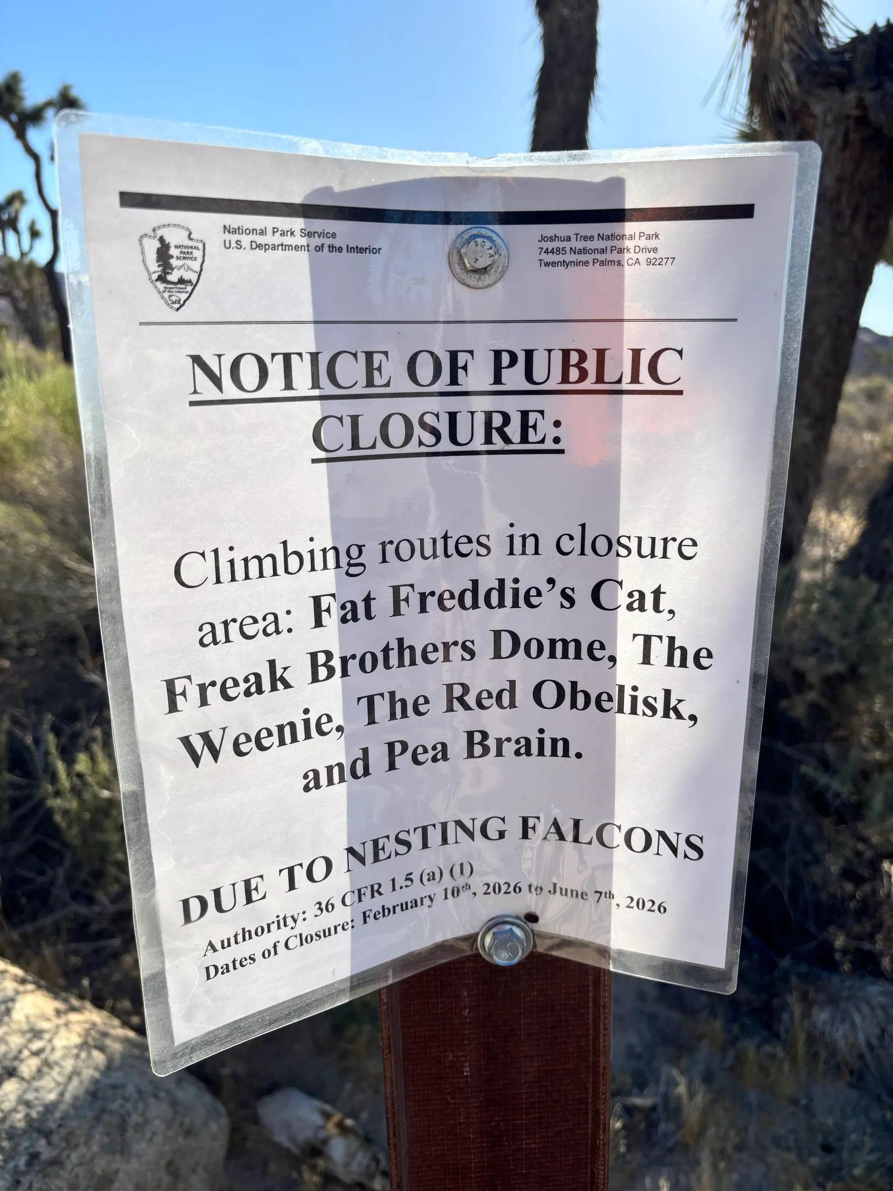 A Joshua Tree climbing closure sign listing route names, closed due to nesting falcons