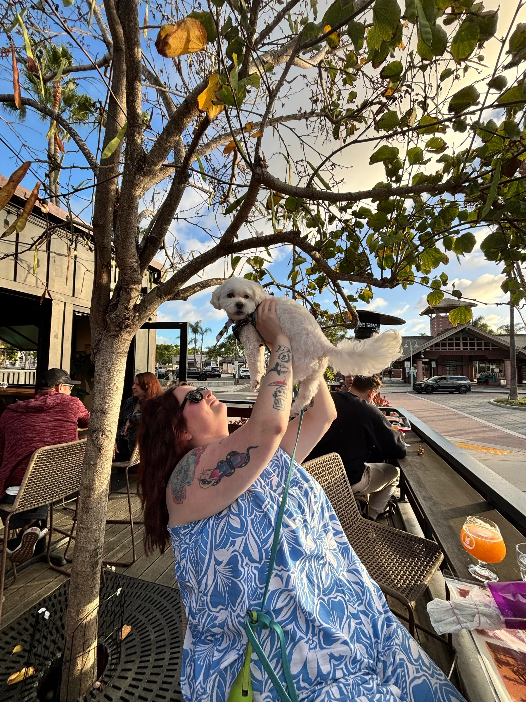 Ty the small white dog, held aloft under a tree at a patio bar